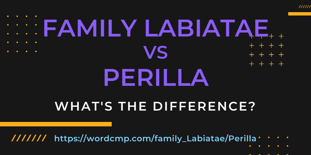 Difference between family Labiatae and Perilla