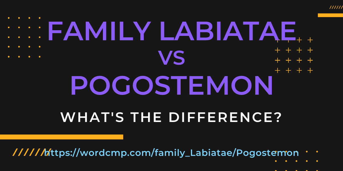Difference between family Labiatae and Pogostemon