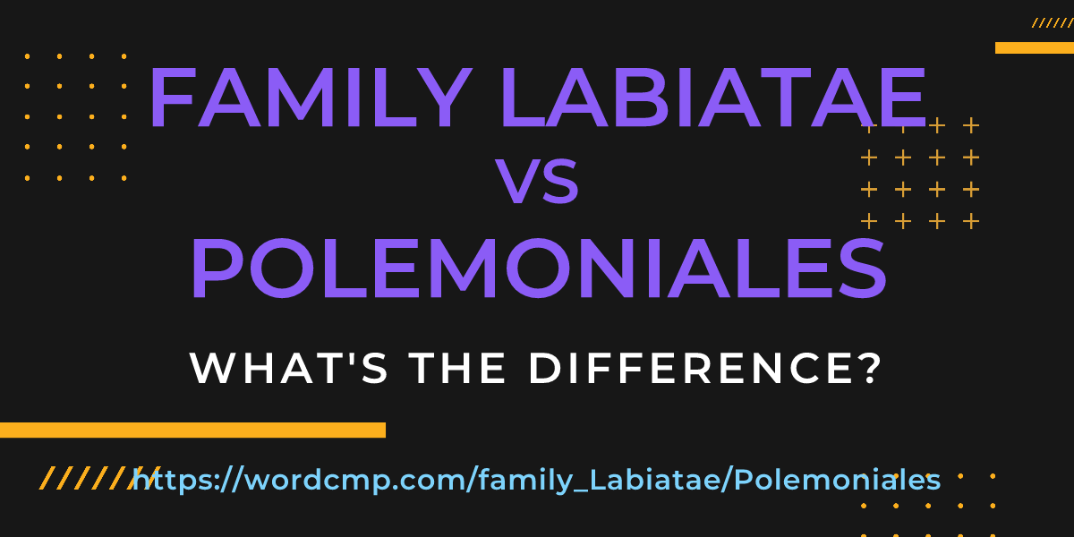 Difference between family Labiatae and Polemoniales