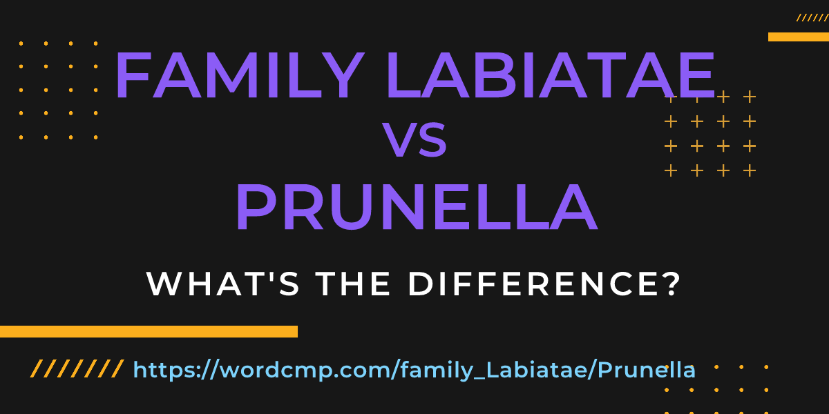 Difference between family Labiatae and Prunella
