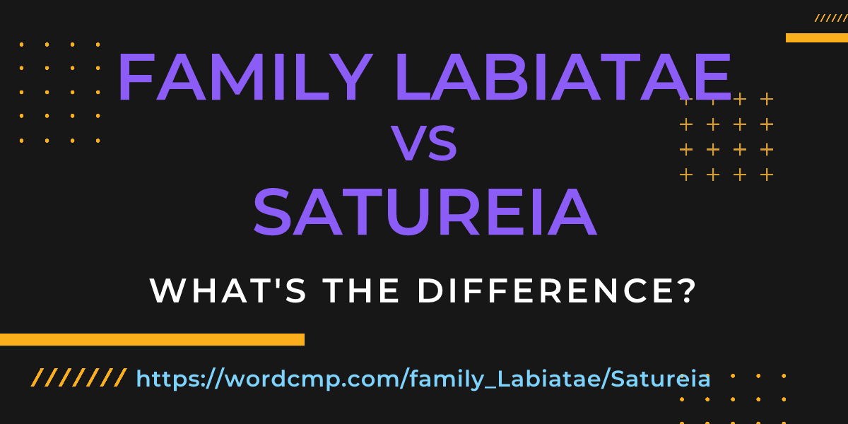 Difference between family Labiatae and Satureia