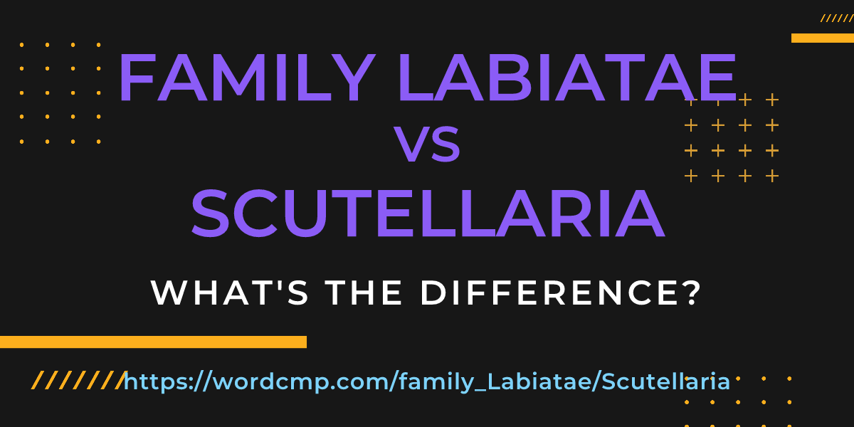 Difference between family Labiatae and Scutellaria