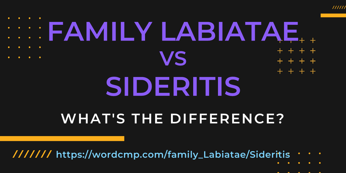 Difference between family Labiatae and Sideritis