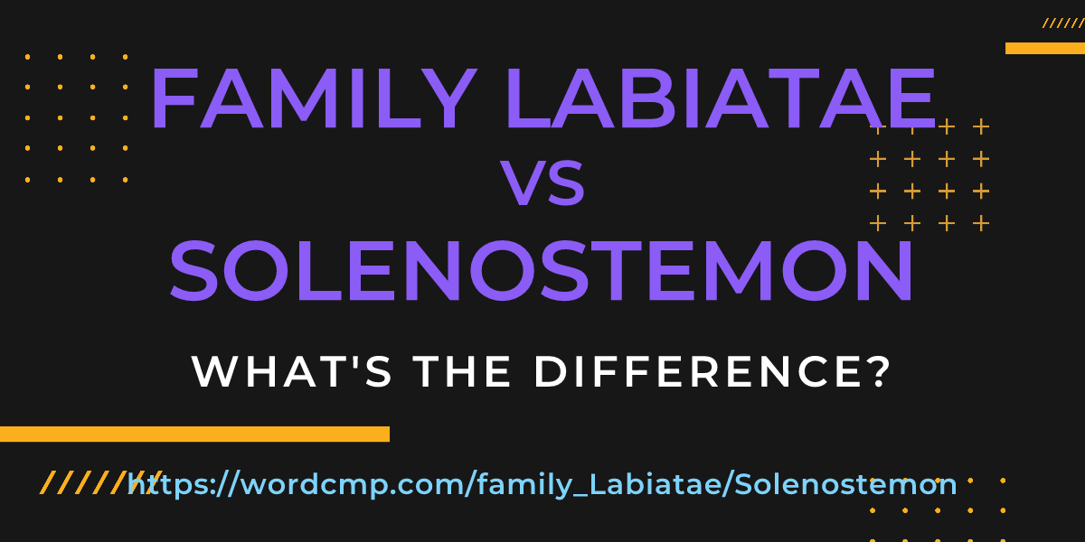 Difference between family Labiatae and Solenostemon