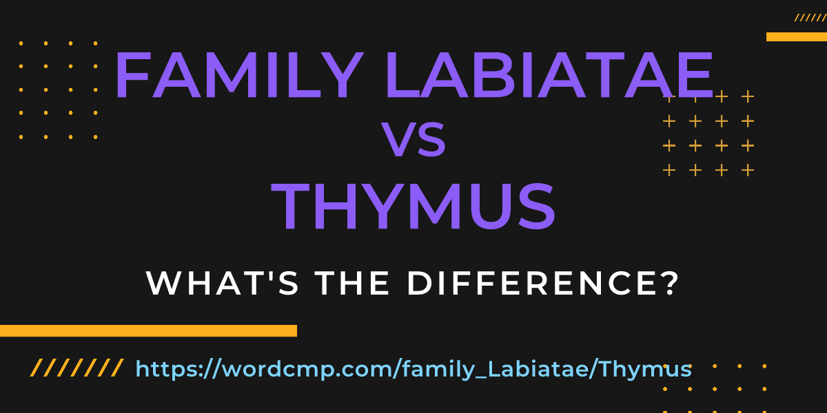 Difference between family Labiatae and Thymus