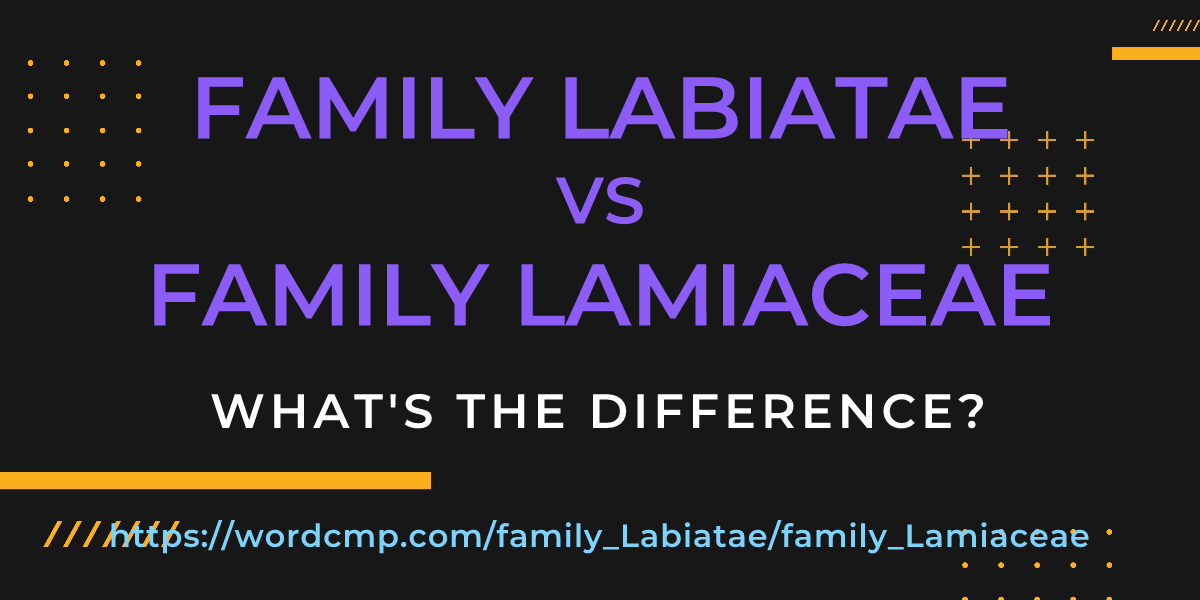 Difference between family Labiatae and family Lamiaceae