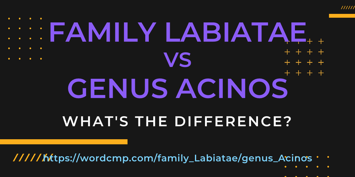 Difference between family Labiatae and genus Acinos