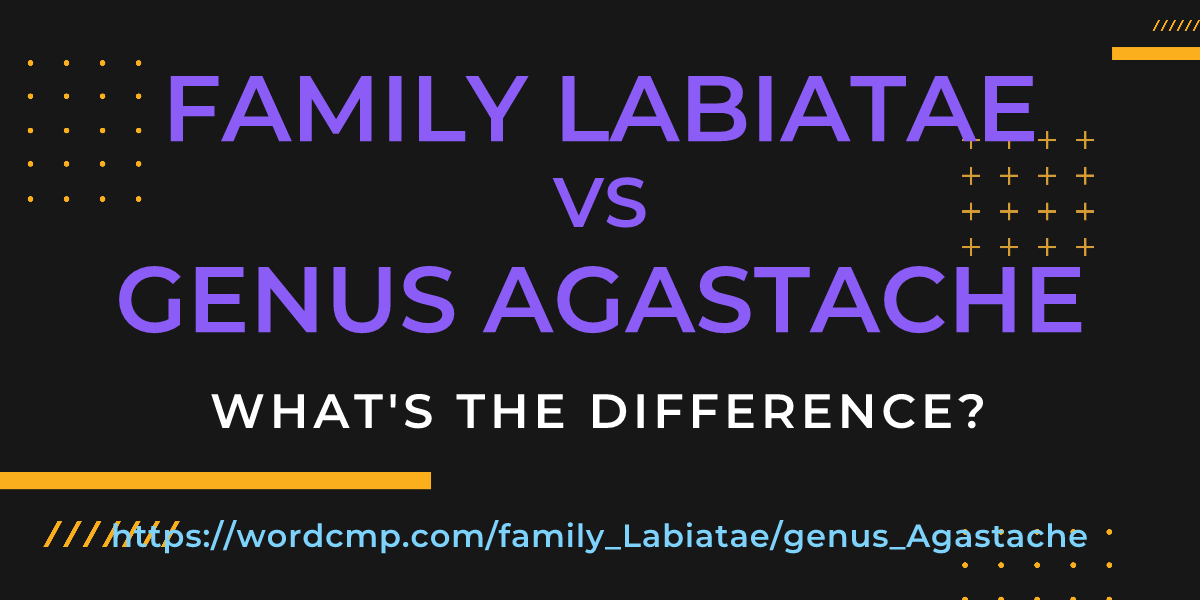 Difference between family Labiatae and genus Agastache
