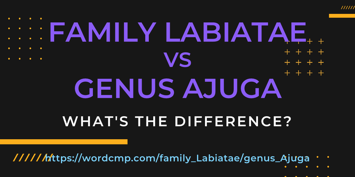Difference between family Labiatae and genus Ajuga
