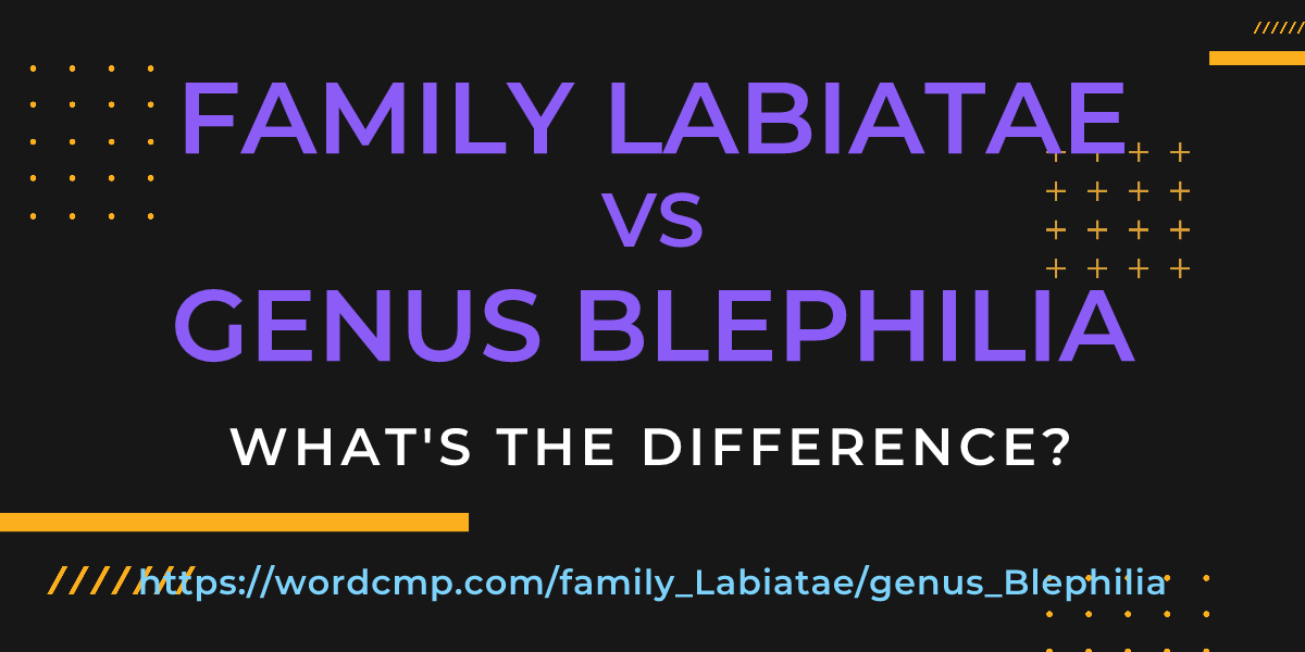 Difference between family Labiatae and genus Blephilia