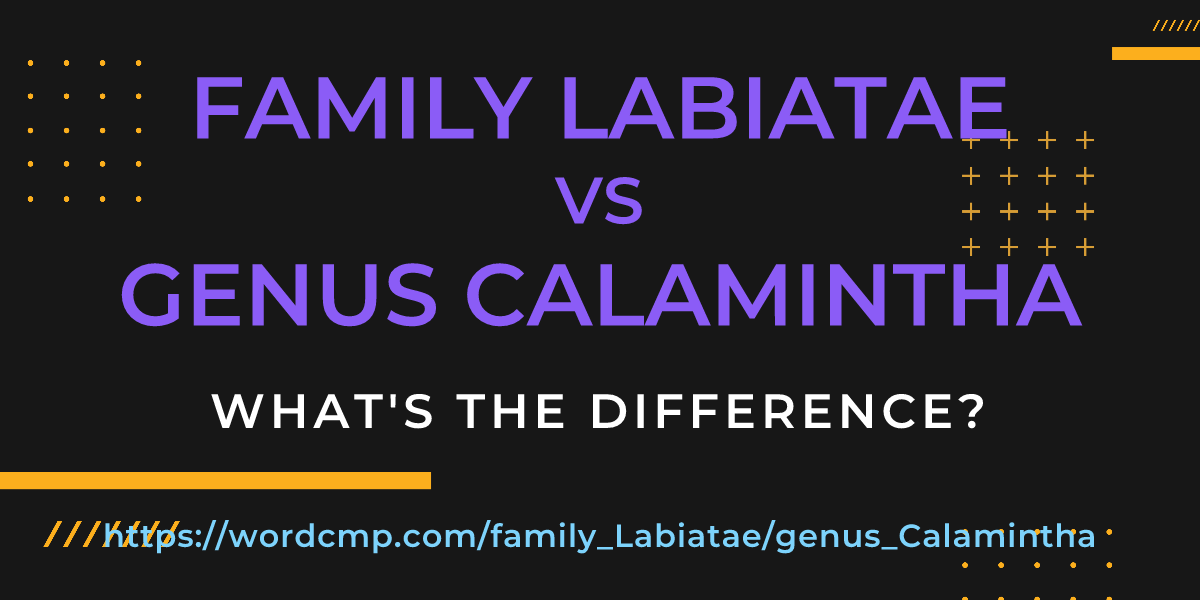 Difference between family Labiatae and genus Calamintha