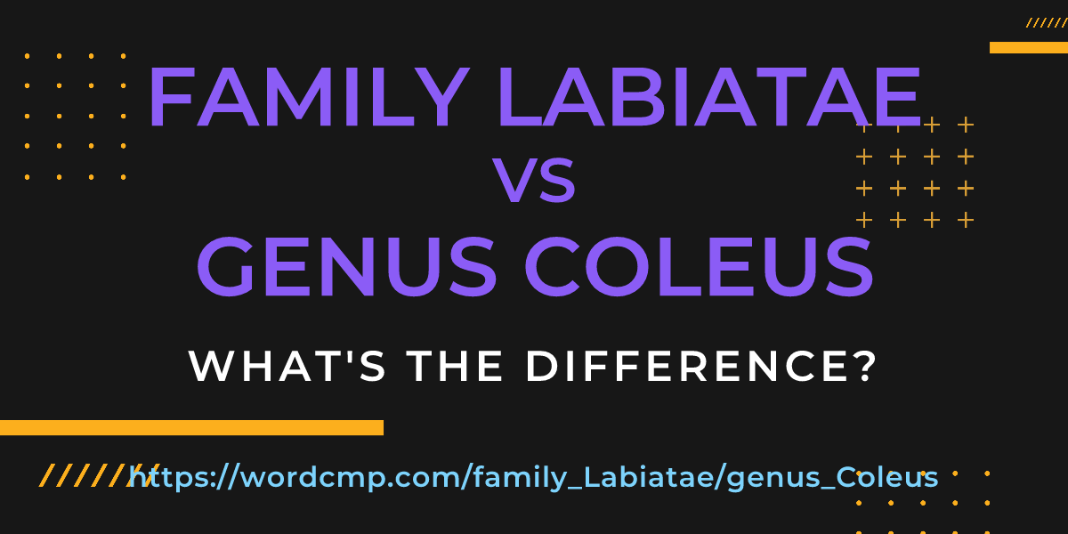 Difference between family Labiatae and genus Coleus