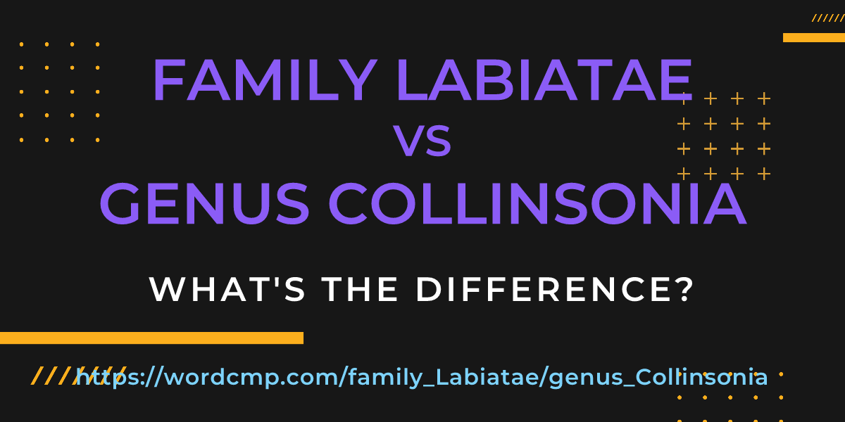 Difference between family Labiatae and genus Collinsonia