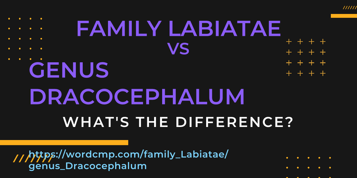 Difference between family Labiatae and genus Dracocephalum