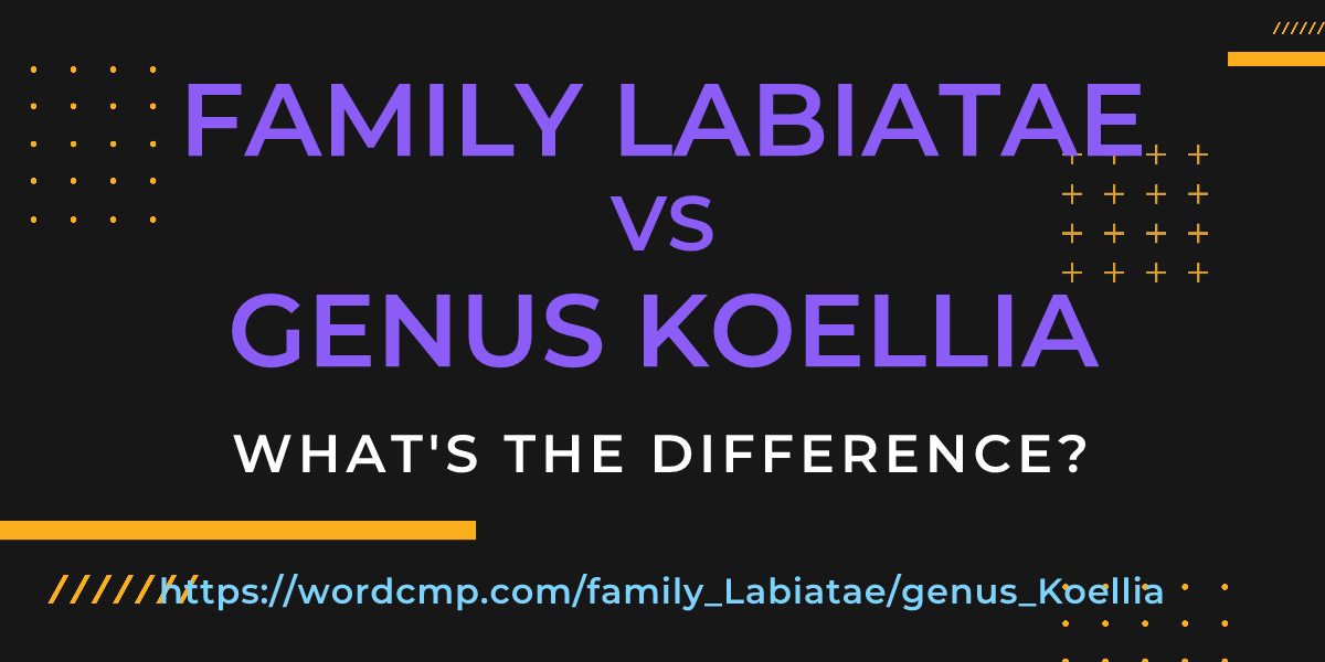 Difference between family Labiatae and genus Koellia