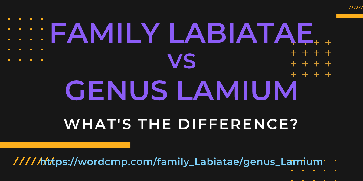 Difference between family Labiatae and genus Lamium