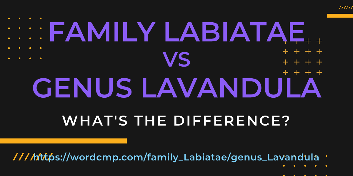 Difference between family Labiatae and genus Lavandula