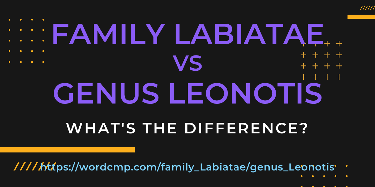 Difference between family Labiatae and genus Leonotis