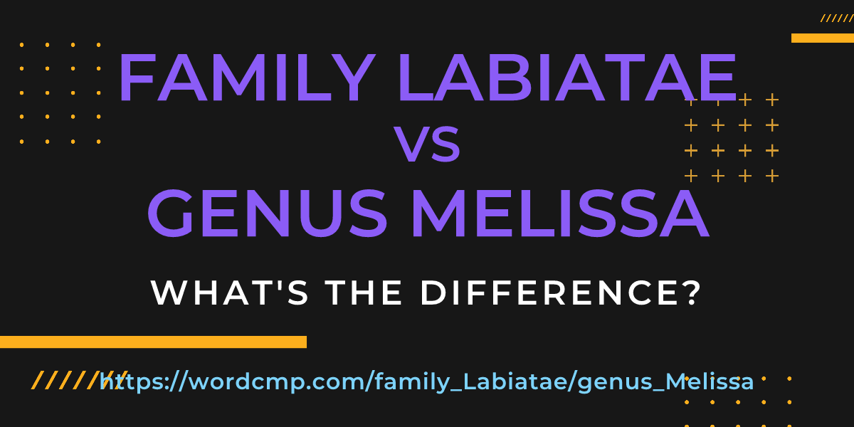 Difference between family Labiatae and genus Melissa