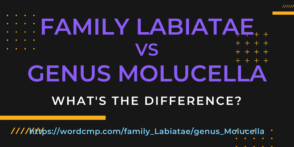 Difference between family Labiatae and genus Molucella