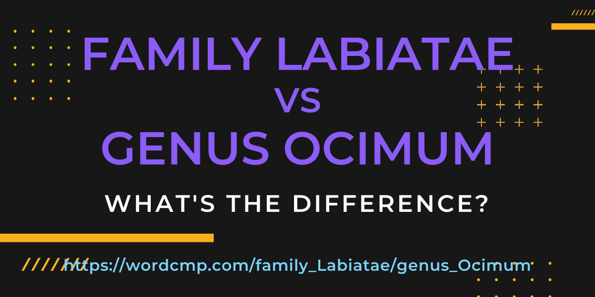 Difference between family Labiatae and genus Ocimum