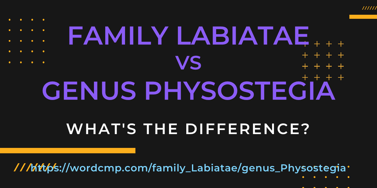Difference between family Labiatae and genus Physostegia