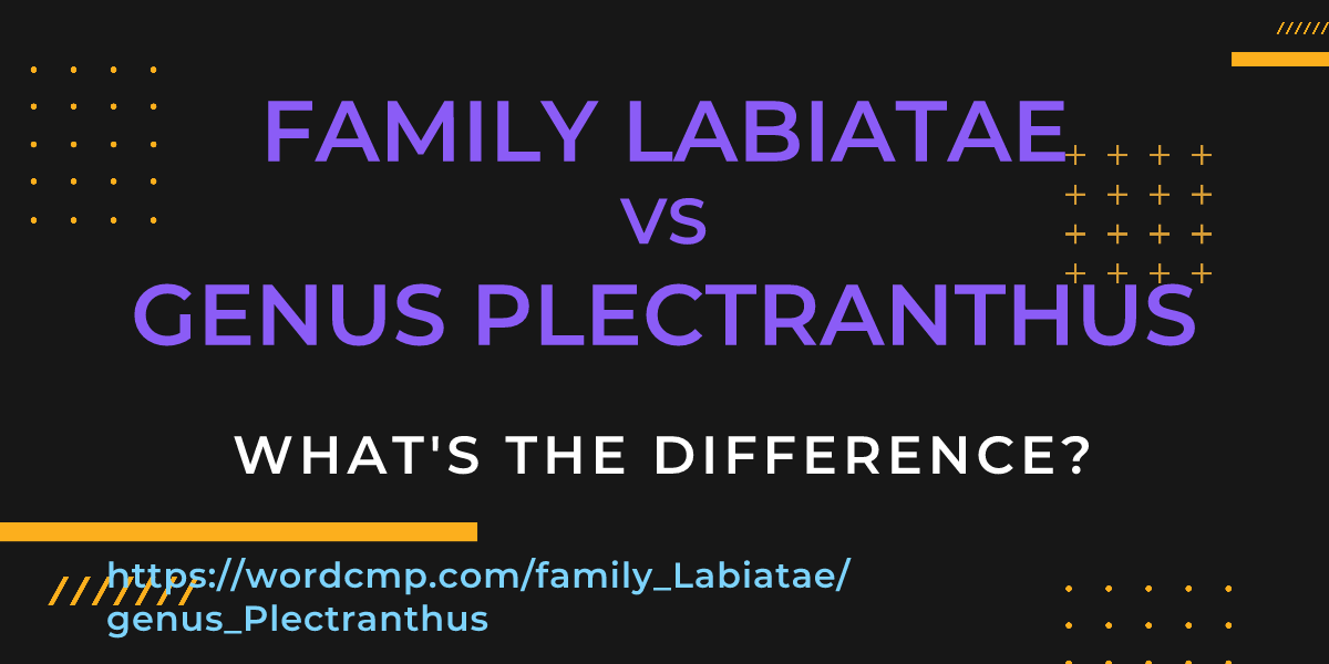 Difference between family Labiatae and genus Plectranthus