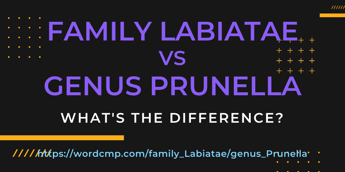 Difference between family Labiatae and genus Prunella