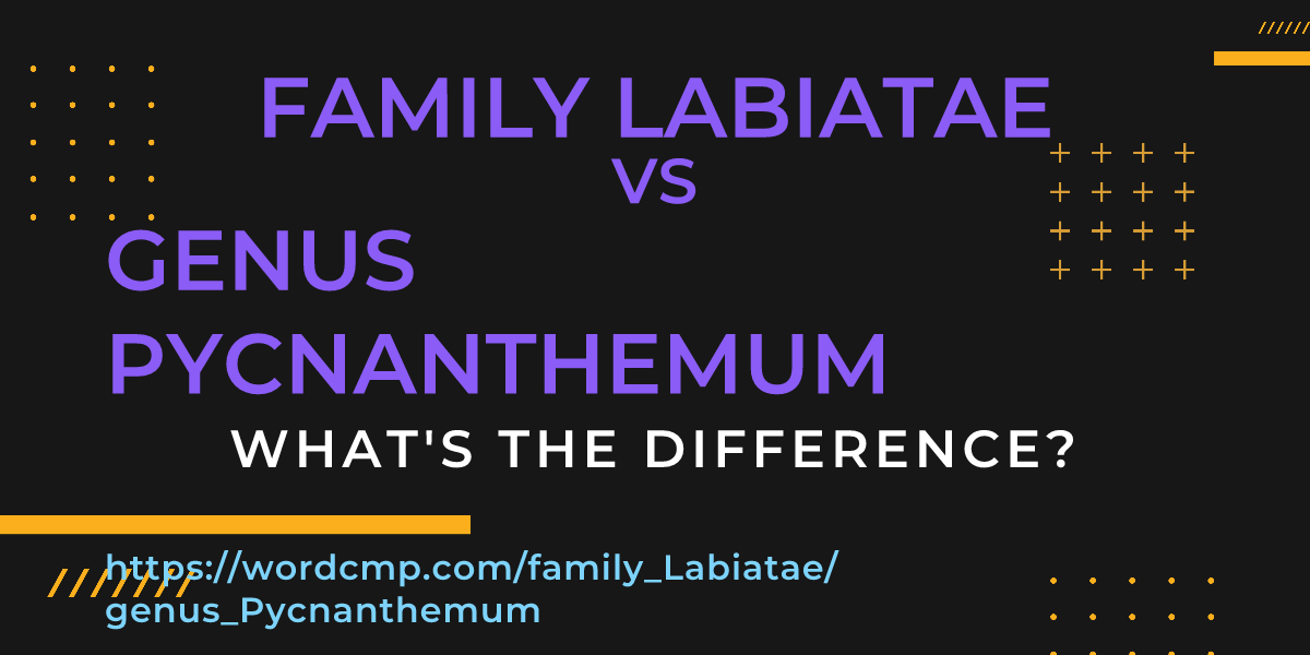 Difference between family Labiatae and genus Pycnanthemum
