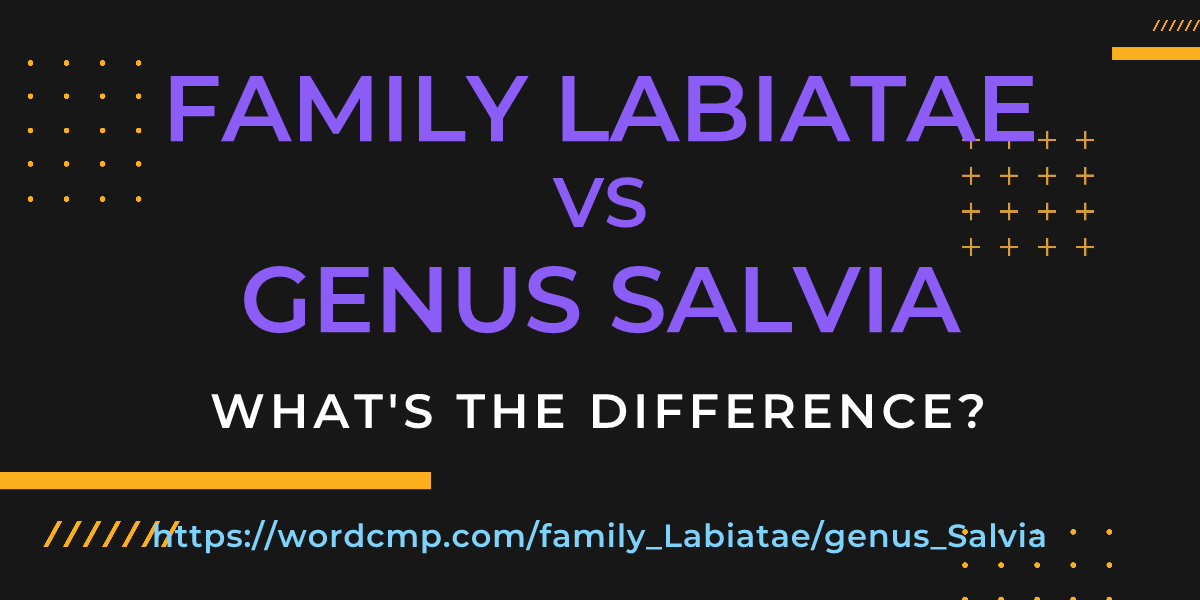 Difference between family Labiatae and genus Salvia