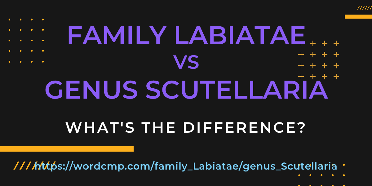 Difference between family Labiatae and genus Scutellaria