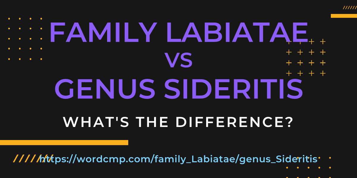 Difference between family Labiatae and genus Sideritis