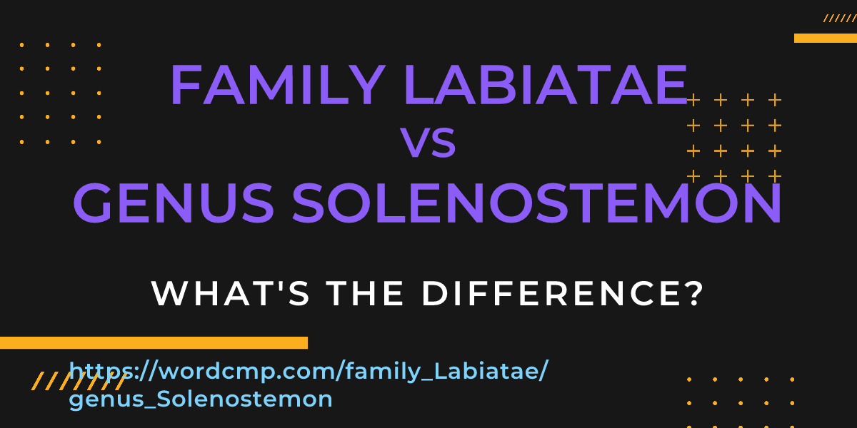 Difference between family Labiatae and genus Solenostemon