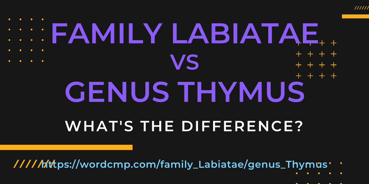 Difference between family Labiatae and genus Thymus