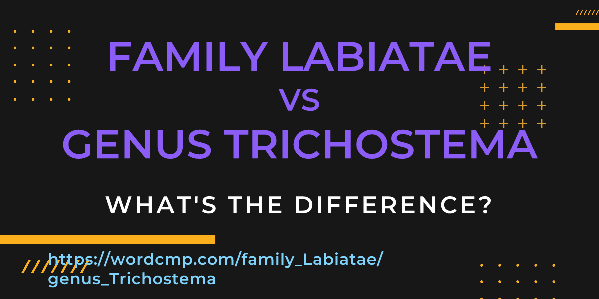 Difference between family Labiatae and genus Trichostema