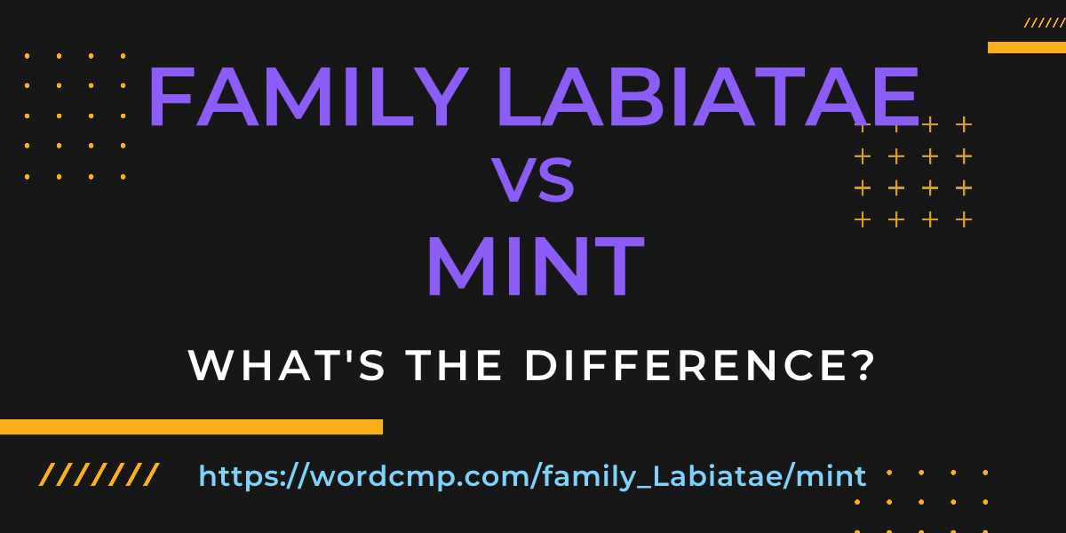 Difference between family Labiatae and mint