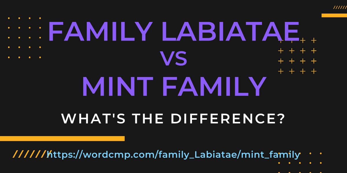 Difference between family Labiatae and mint family