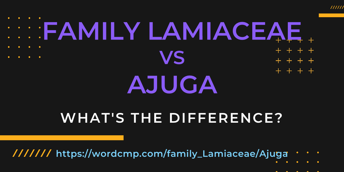 Difference between family Lamiaceae and Ajuga