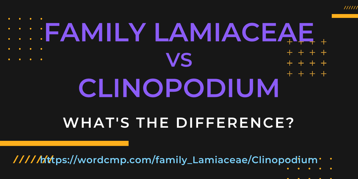 Difference between family Lamiaceae and Clinopodium