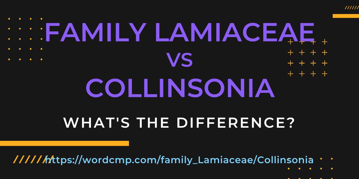 Difference between family Lamiaceae and Collinsonia
