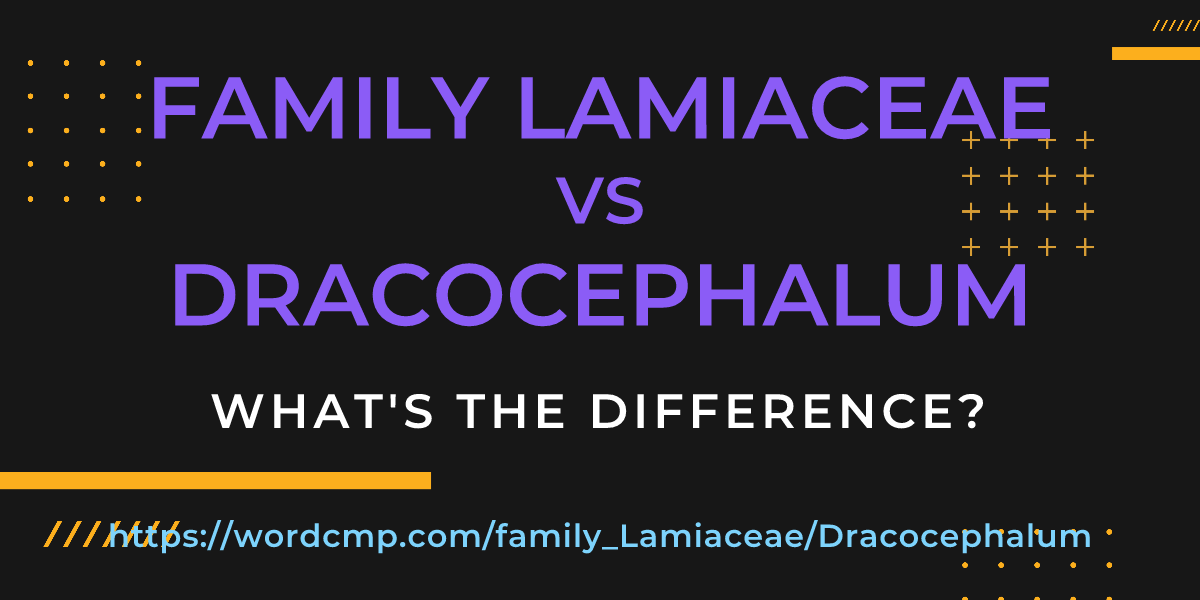 Difference between family Lamiaceae and Dracocephalum