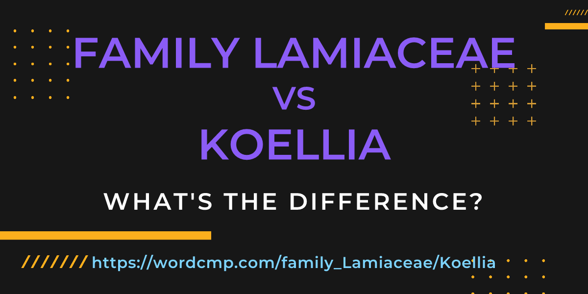Difference between family Lamiaceae and Koellia