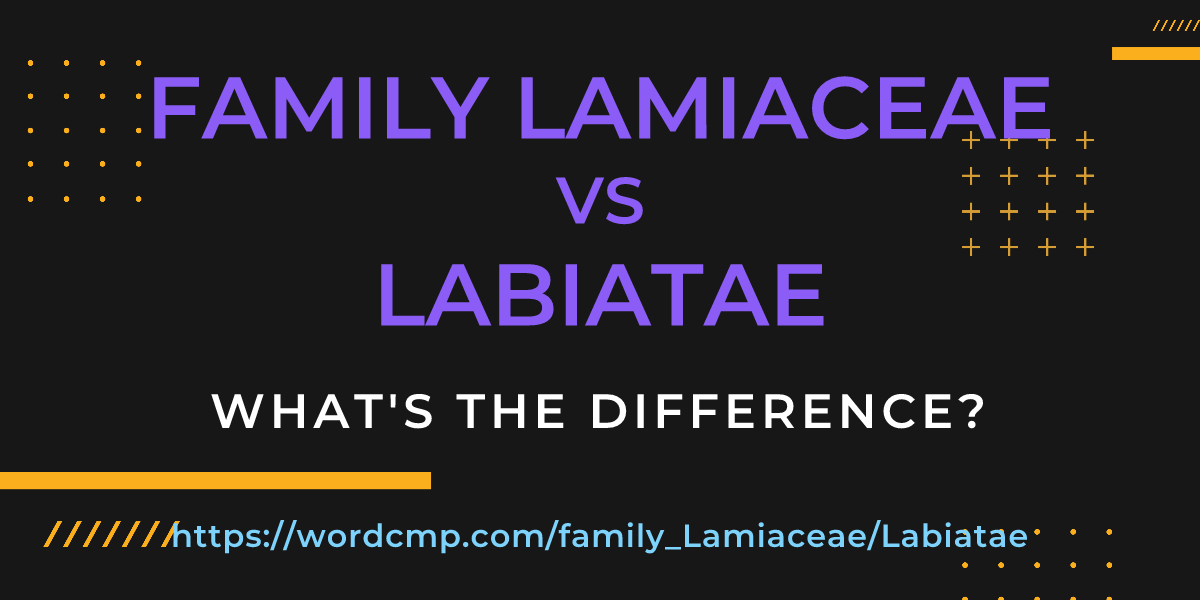 Difference between family Lamiaceae and Labiatae