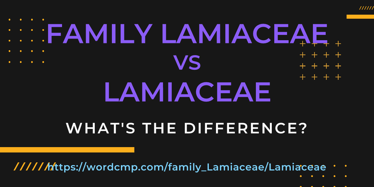 Difference between family Lamiaceae and Lamiaceae