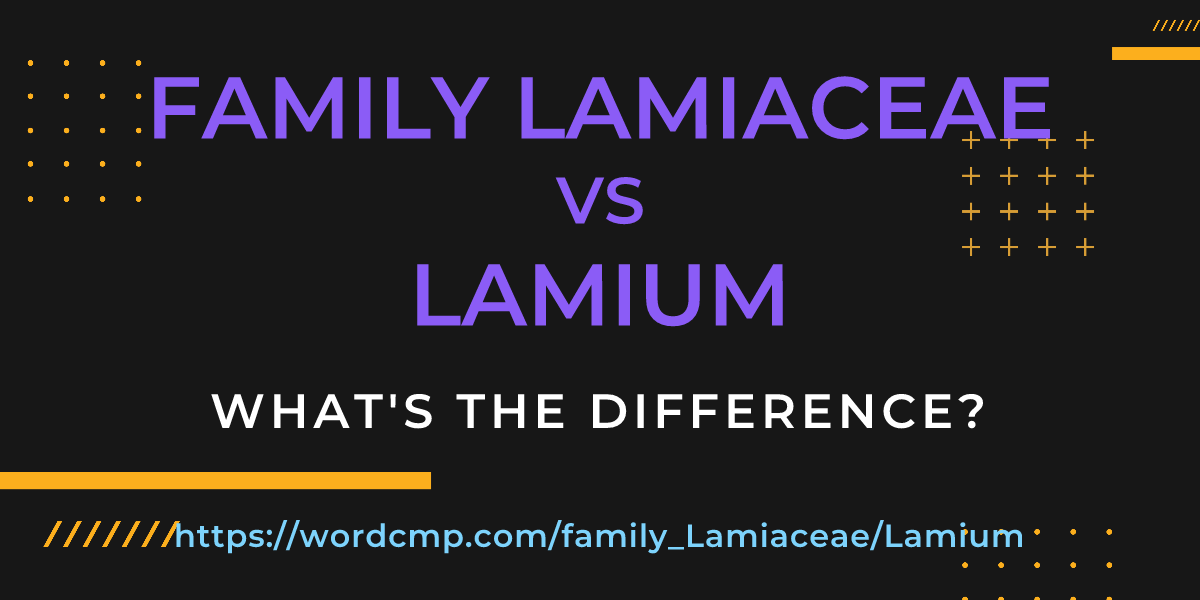 Difference between family Lamiaceae and Lamium