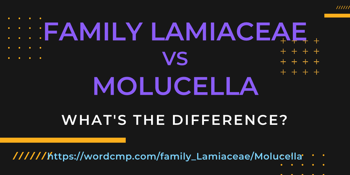 Difference between family Lamiaceae and Molucella