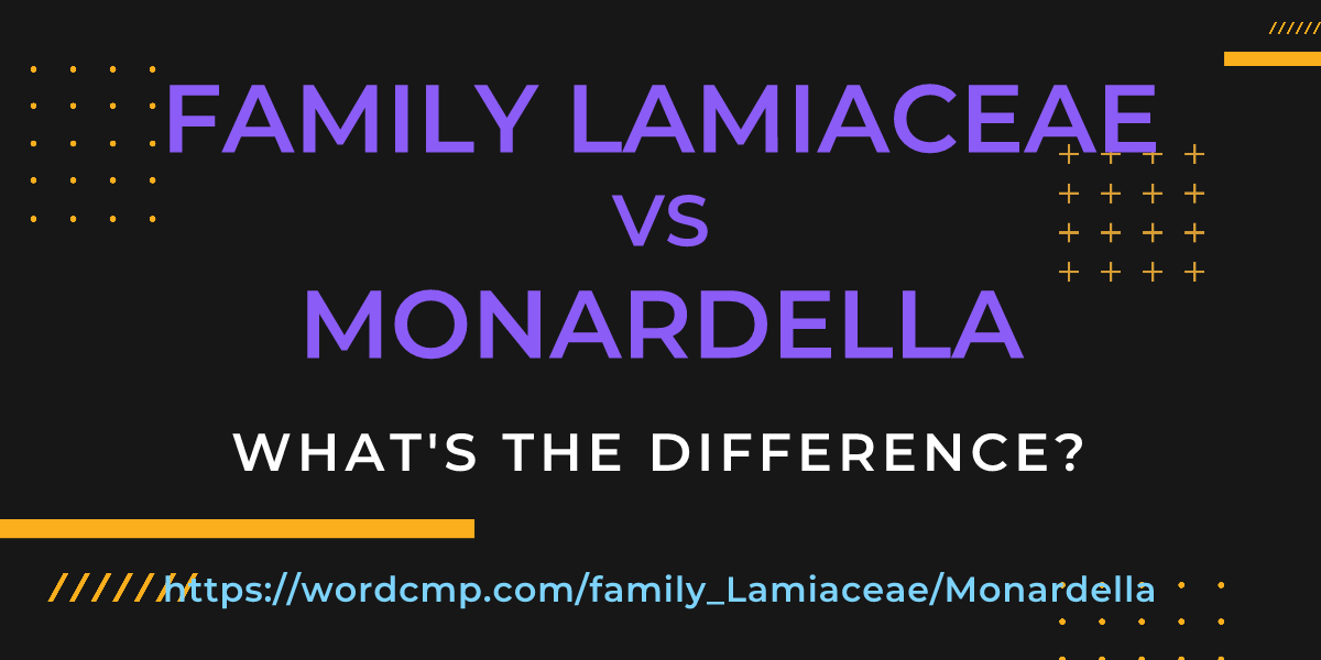 Difference between family Lamiaceae and Monardella