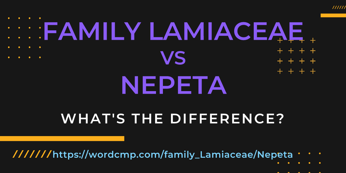 Difference between family Lamiaceae and Nepeta