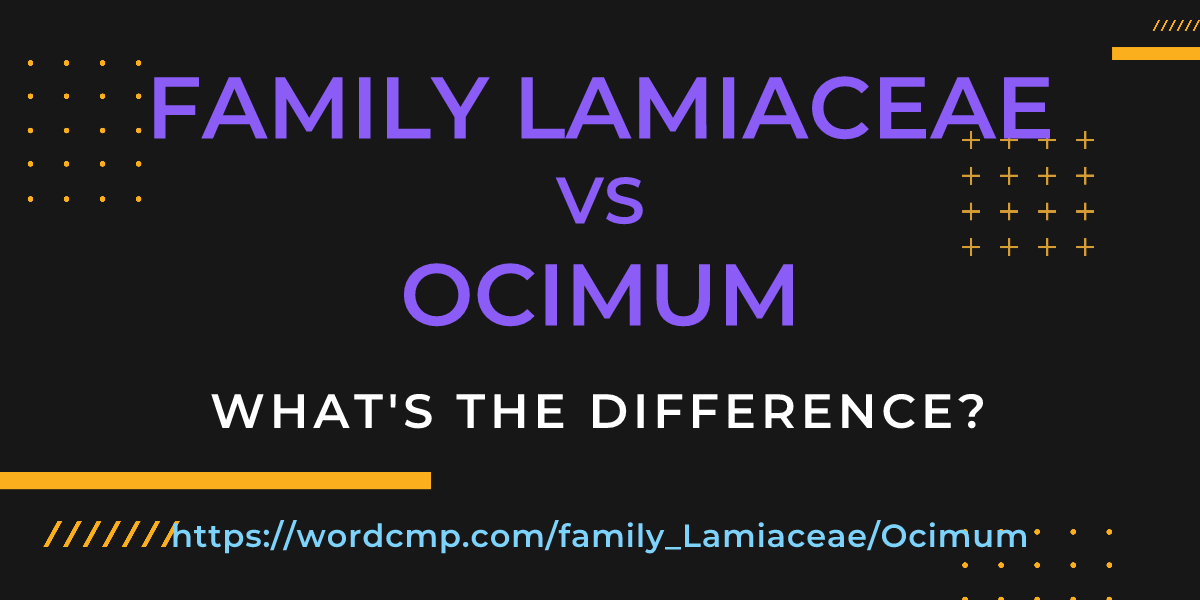 Difference between family Lamiaceae and Ocimum