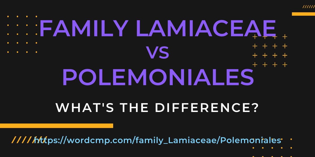 Difference between family Lamiaceae and Polemoniales